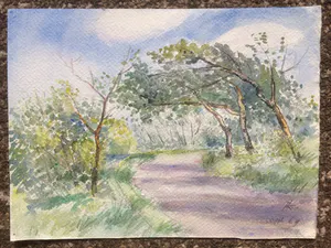 Han Krug - Aquarel "Bosgezicht" 1973 kopen? Bied vanaf 25!