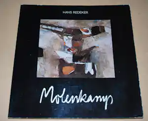 Nico Molenkamp - monografie 1978 > gesigneerd < kaufen? Bieten Sie von 30!
