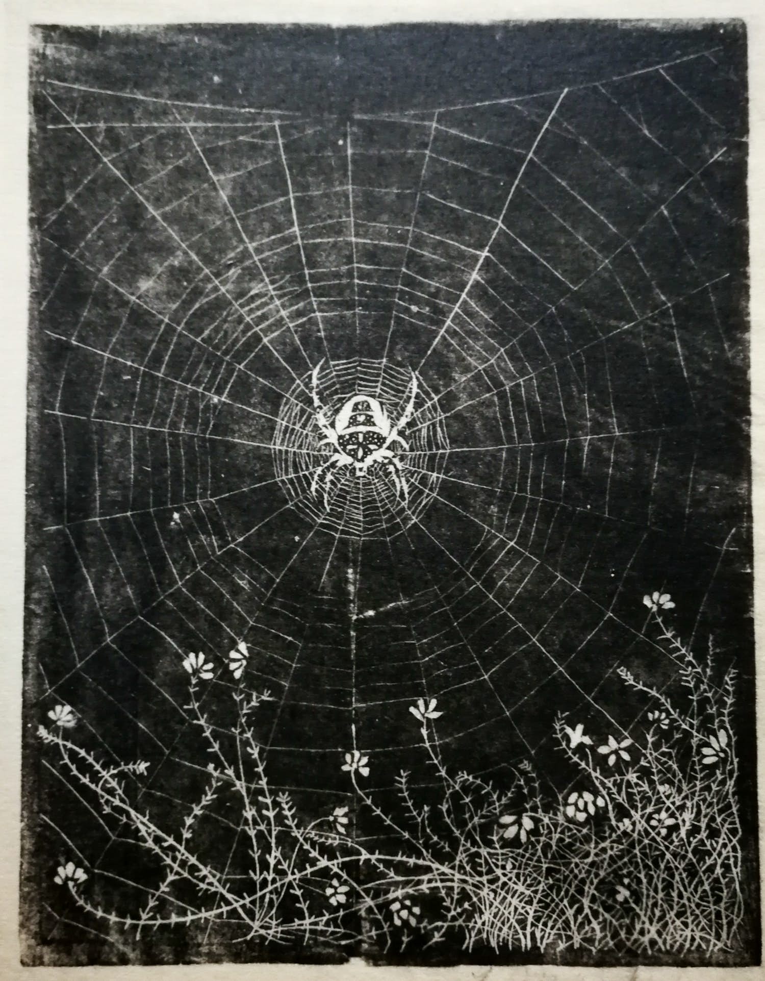Jan Mankes - Spin in web. Heliogravure. kopen? Bied vanaf 1!