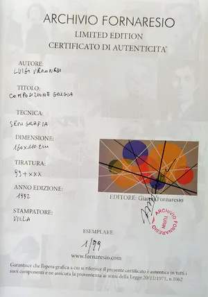 Luigi Veronesi - Composizione Grigia ***WINST GAAT NAAR GIRO 555 #STANDWITHUKRAINE*** kopen? Bied vanaf 250!