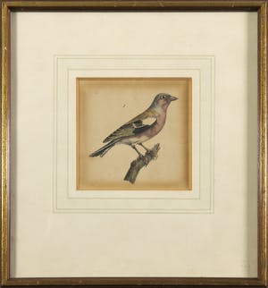 Fons Franken - en anderen - Lot van drie etsen en een litho kopen? Bied vanaf 35!