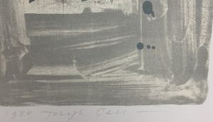 Joseph Cals - litho en zeefdruk - 'Hommage aan Graham Sutherland' -1980 (Prent 190) serie 12A kopen? Bied vanaf 50!