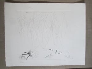 Auke de Vries - Ets kleine oplage kopen? Bied vanaf 130!