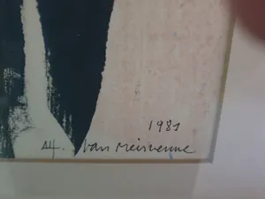 Alfons Van Meirvenne - zittende papegaai kopen? Bied vanaf 250!