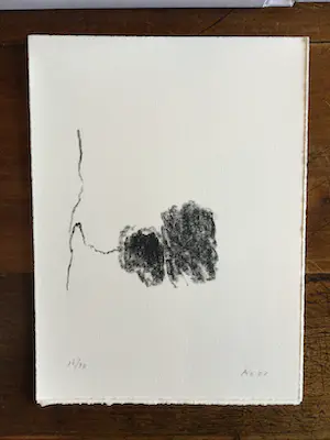Armando - Der Baum, Signature VII, cassette met zes litho's kopen? Bied vanaf 400!