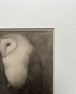Jan Mankes - Originele Heliogravure Uil op Boomtak 1927 kopen? Bied vanaf 165!