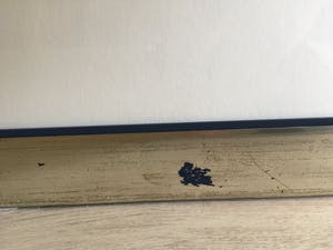 Corneille - "Venus sens dessus V kopen? Bied vanaf 215!