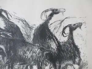 Kees Andrea - Spaanse geiten - Litho kopen? Bied vanaf 40!