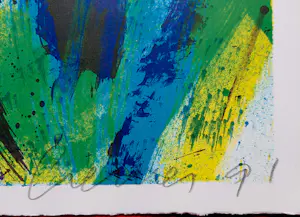 Jan Cremer - Tulpen, litho kopen? Bied vanaf 150!