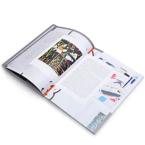 KAWS - What Party - Phaidon limited edition boek - Roze editie kopen? Bied vanaf 100!