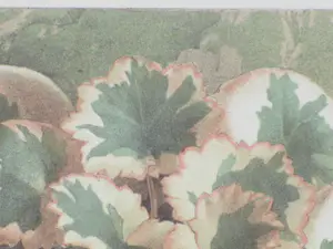 Jan Voerman (jr.) - Bosanemoontjes - Kleurenlitho kopen? Bied vanaf 60!