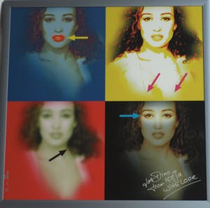 Niet of onleesbaar gesigneerd - Portret Katja Schuurman , “From Katja with Love” – ingelijst – 2011 kopen? Bied vanaf 1!