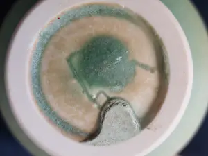 Hein Severijns - Vaas met kristalglazuur kopen? Bied vanaf 160!