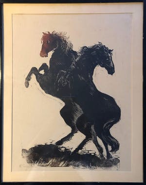 Rein Snapper - Steigerende paarden kopen? Bied vanaf 20!