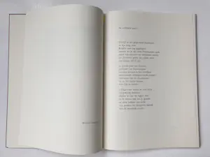 Roger Raveel - 'Hugo Claus 65' met gesigneerde werken van Raveel, Tajiri en Reinhoud kopen? Bied vanaf 875!
