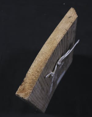 Shila Oringer - Collage op hout, Butterfly kopen? Bied vanaf 1!