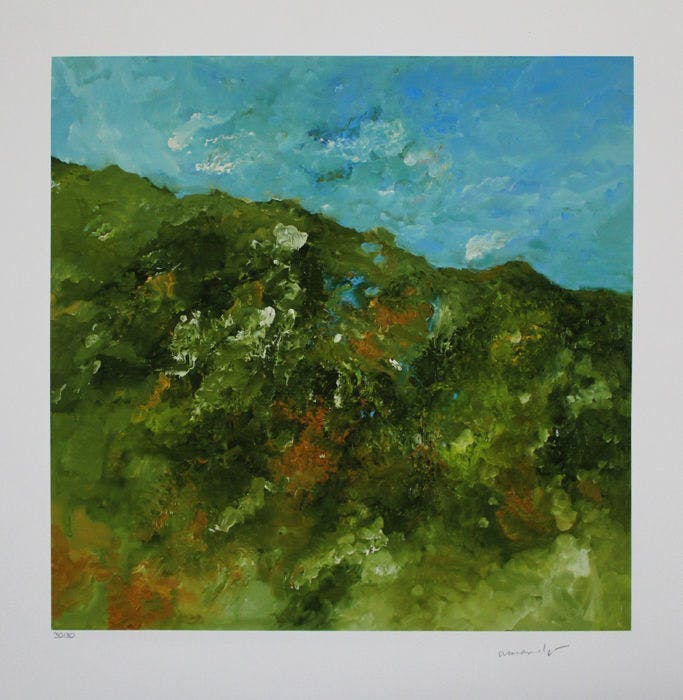 Armando - Gr Kleurengiclee WALDIG Handgesigneerd SLECHTS 30 EX!!! verkocht voor € 159!