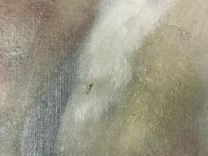 Mado Schoolmeesters - Lot van 5 schilderijen op doek kopen? Bied vanaf 150!