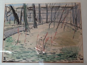 Frans Hollaardt - stadspark 1956 kopen? Bied vanaf 29!