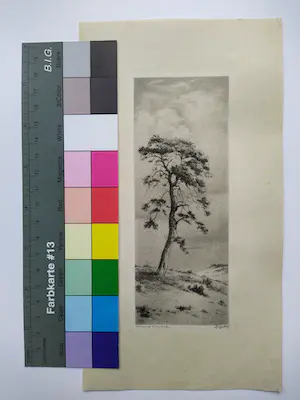 Dirk Harting - Duinlandschap kopen? Bied vanaf 40!