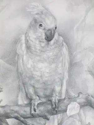 Aart van Dobbenburgh - Kakatoe - Litho kopen? Bied vanaf 50!