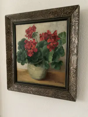 Lien Straver - Geraniums in pot kopen? Bied vanaf 90!