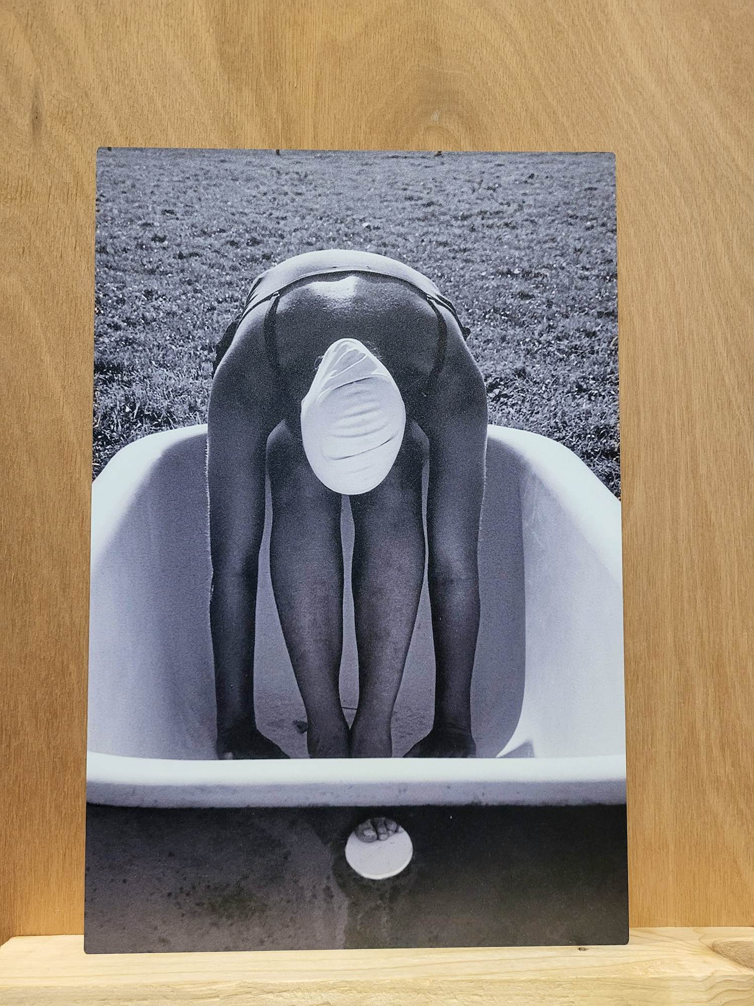 Esther Smits - Bathing kopen? Bied vanaf 20!