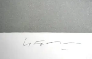 Alain Le Foll - Desert Rock I kopen? Bied vanaf 25!