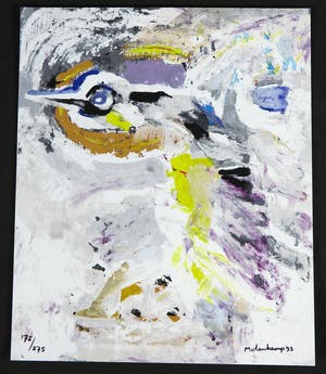 Nico Molenkamp - Zeefdruk, Vogel kopen? Bied vanaf 1!