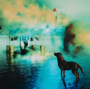 Arturo - Giclée, Vlinder - Ingelijst kopen? Bied vanaf 1!