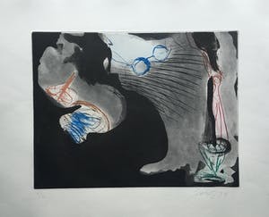 Ger Lataster - grote kleurenets uit 1989 - oplage X kopen? Bied vanaf 95!