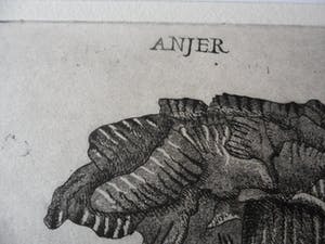 Arja van den Berg - Ingekleurde ets, Anjer kopen? Bied vanaf 20!