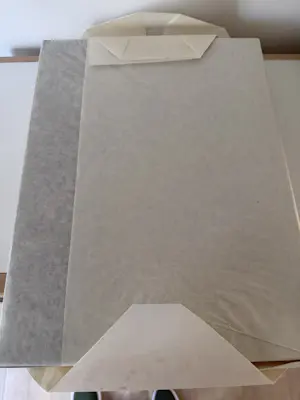 Diverse kunstenaars - De wereld van de Hanze kopen? Bied vanaf 28!