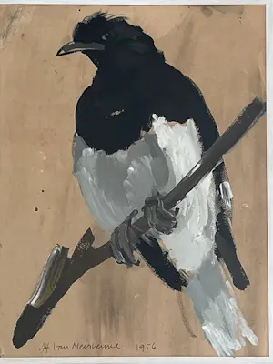 Alfons Van Meirvenne - Ekster kopen? Bied vanaf 150!