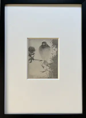 Jan Mankes - Originele Heliogravure - Puttertje op Tak 1923 kopen? Bied vanaf 175!