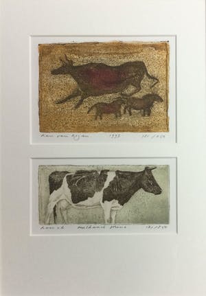 Han van Hagen - Dubbele kleurets/aquatint met koeien | Grottekening & Melkunie prent kopen? Bied vanaf 49!