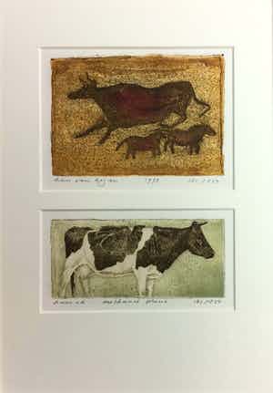 Han van Hagen - Dubbele kleurets/aquatint met koeien | Grottekening & Melkunie prent verkocht voor € 49!