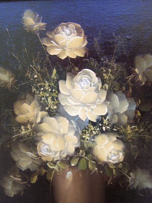 Robert Cox - Witte rozen. kopen? Bied vanaf 50!