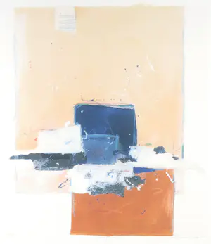 Ron van der Werf - Zeefdruk, Symfonie II - Ingelijst (Groot) kopen? Bied vanaf 50!