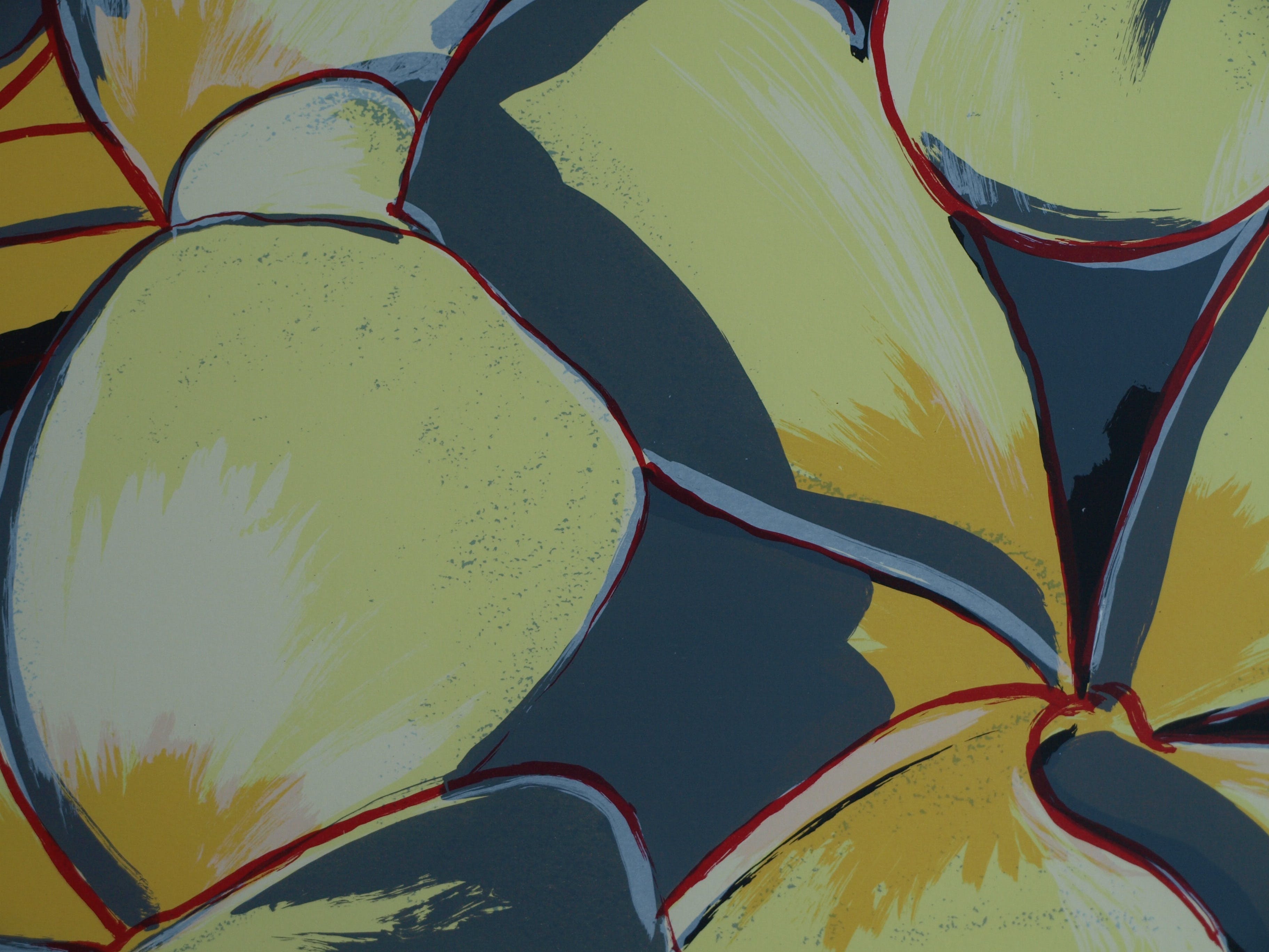 Frank Rosen - Zeefdruk , Boombloem - gesigneerd & ingelijst - 1996  kopen? Bied vanaf 50!