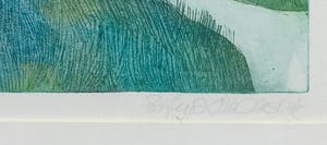 Sylvia Oudkerk - Kleurenets, Ingepakt - Ingelijst kopen? Bied vanaf 1!