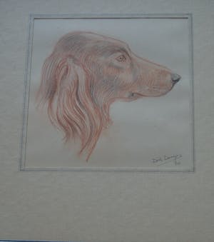 Dick Dooijes - zonder titel kopen? Bied vanaf 35!