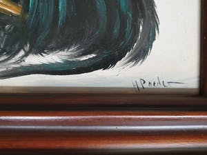 Henk Poeder - Phoenix cock kopen? Bied vanaf 35!