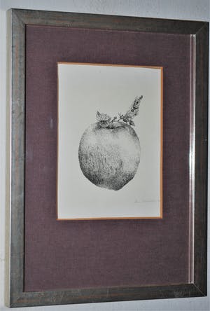 Lisa Couwenbergh - Vlinder zit op een appel - pentekening 1972 kopen? Bied vanaf 35!