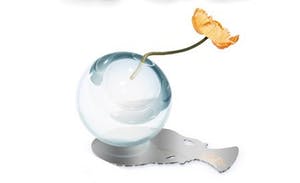 Marcel Wanders - Wet shadow vaasje met verpakking kopen? Bied vanaf 69!