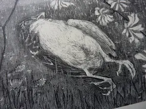 Theo van Hoytema - Lithografie op chine collé - Dood vogeltje 1904 kopen? Bied vanaf 100!