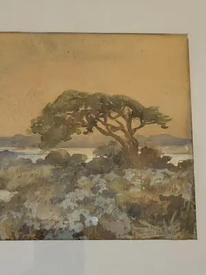 Adam Potgieter - Aquarel - Duinlandschap kopen? Bied vanaf 125!
