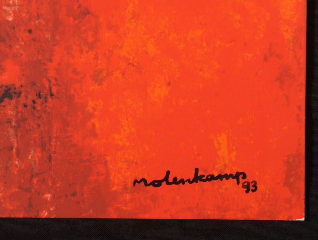 Nico Molenkamp - Zeefdruk, Z.T. Rood kopen? Bied vanaf 1!