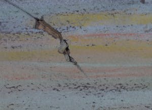 Bitia Rosendor - Acryl op doek, Zonsondergang kopen? Bied vanaf 1!