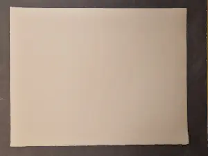 Hannes Postma - Grote kleuren Ets -1964 - Parthenogenese / Dutch ladies - bep. oplage (75) kopen? Bied vanaf 49!